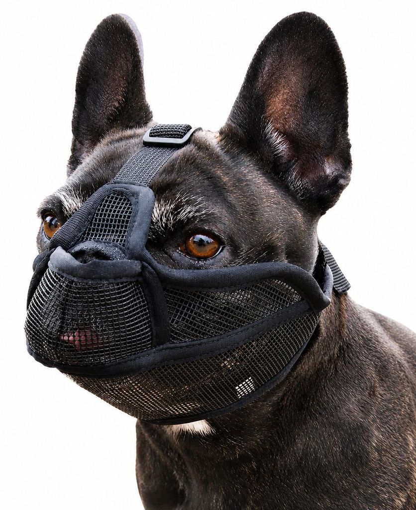 INF Maulkorb für Hunde mit kurzer Schnauze S Produktbild 