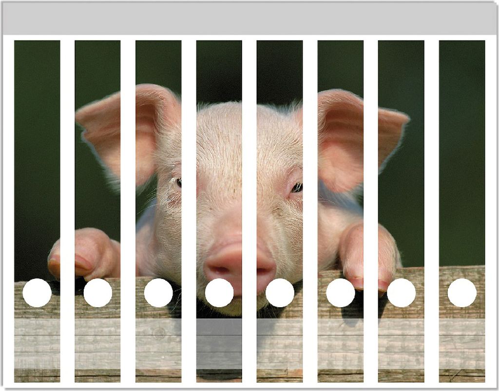 Wallario Ordnerrücken Sticker, selbstklebend für schmale Ordner, 8 Stück, Motiv Süßes Ferkel auf dem Bauernhof in Nahaufnahme