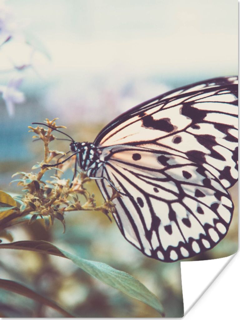 MuchoWow Poster Schmetterling - Blumen - Frühling 90x120 cm - Wohnzimmer