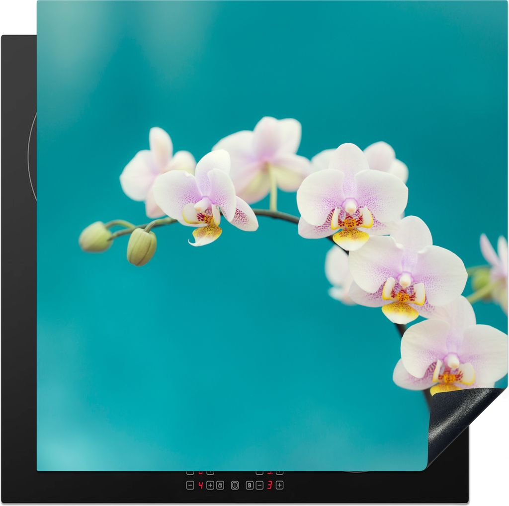 KitchenYeah Herdabdeckplatte Orchidee - Blumen - Pflanze - Weiß - Lila , 78x78cm, Küche Deko, Glaskeramikfeld Herdabdeckung, Abdeckplatte fùr ...