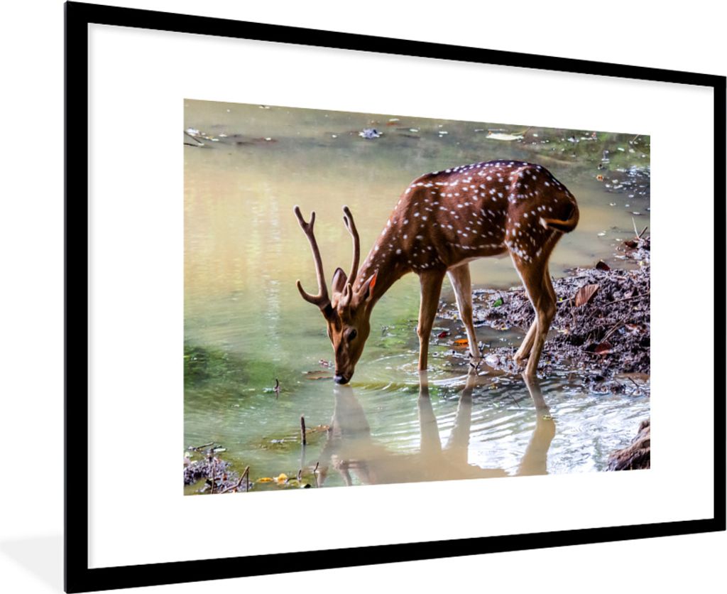 MuchoWow MuchoWow Gerahmtes Poster Hirsche - Geweihe - Wasser 90x60 cm - Poster mit zchwarzem Bilderrahmen - Wanddekoration - Fotos