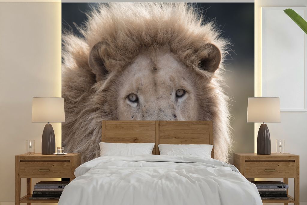 MuchoWow Fototapete für Wohnzimmer oder Schlafzimmer Wandtapete Vinyl Motivtapete Löwe - Tier - Weiß - 350x350 cm - Schlafzimmertapete