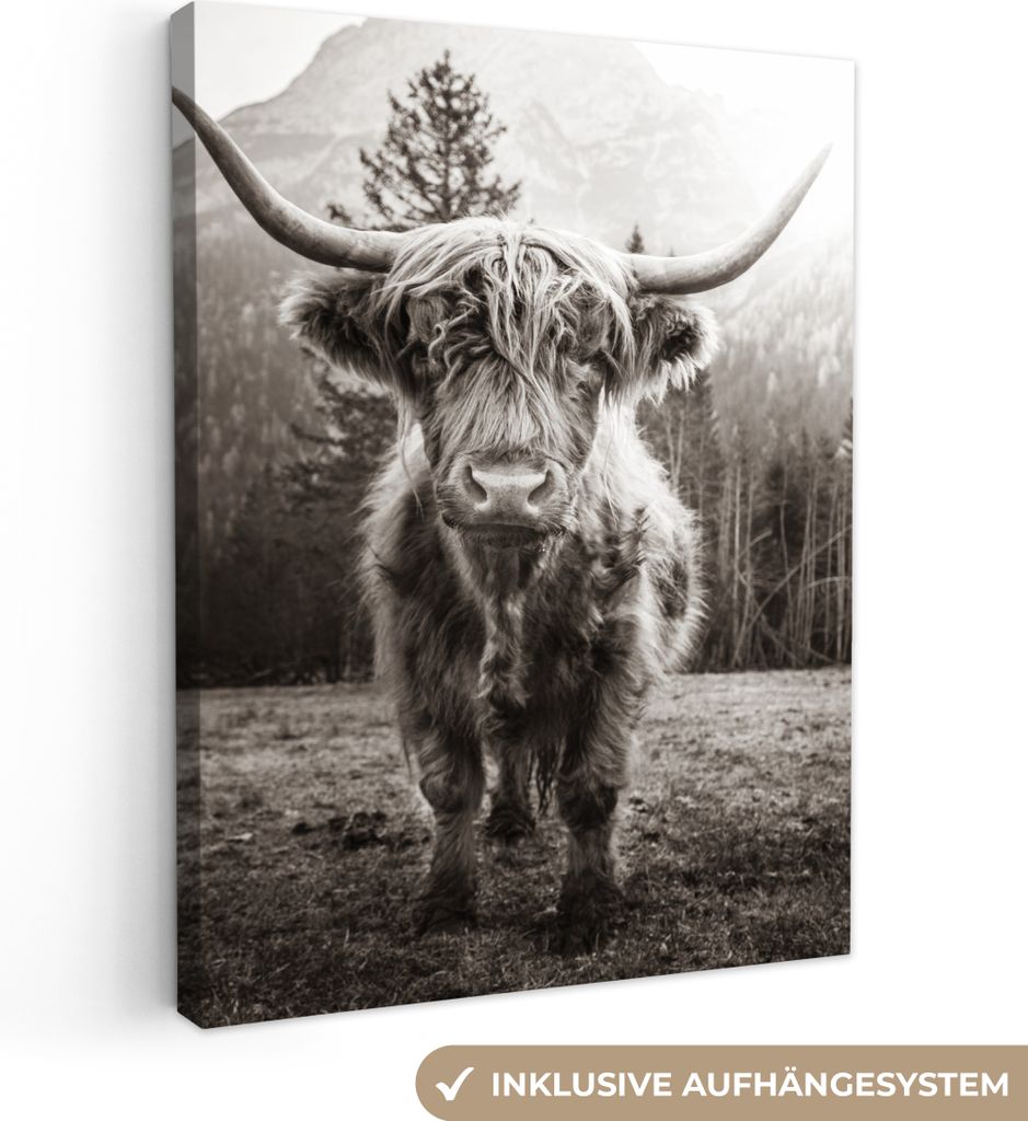 MuchoWow - Leinwandbilder - Schottischer Highlander - Schwarz - Weiß - Tiere, Wandbild, Wanddeko Bilder Wohnzimmer, 90x120 cm
