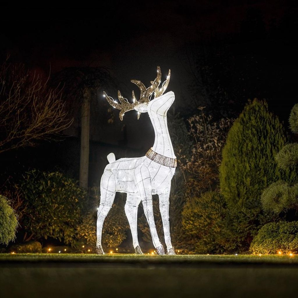 LED-Hirschleuchte, 150 cm, 161 LEDs mit Flash-Effekt Produktbild 