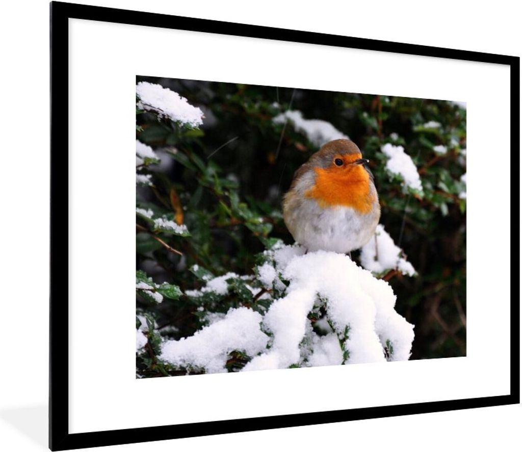 MuchoWow® Gerahmtes Poster Rotkehlchen - Baum - Schnee Produktbild 