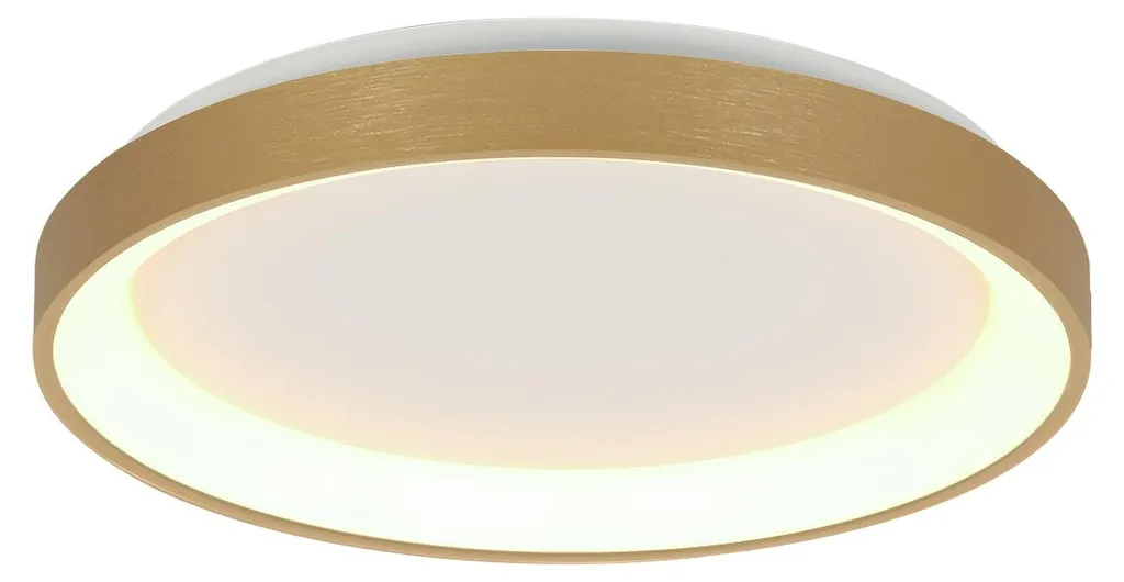 Plafonnier LED Ringlede Steinhauer Or Ø 38cm - Luminaire Design 3691GO