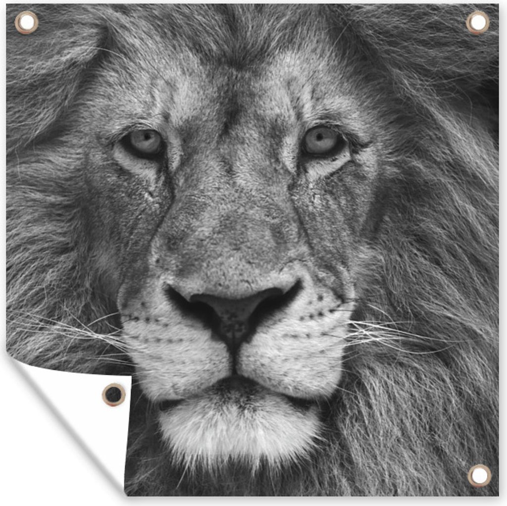 MuchoWow 50x50 cm Outdoor-Poster Gartendeko Sichtschutz Garten Poster für den Garten Tierprofil Persischer Löwe in schwarz und weiß