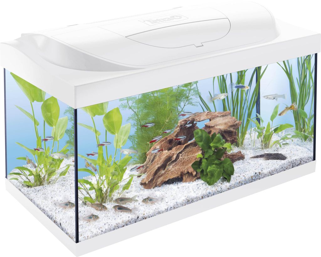 Tetra Akvárium Starter Line LED 54 L bílá Obrázek produktu 
