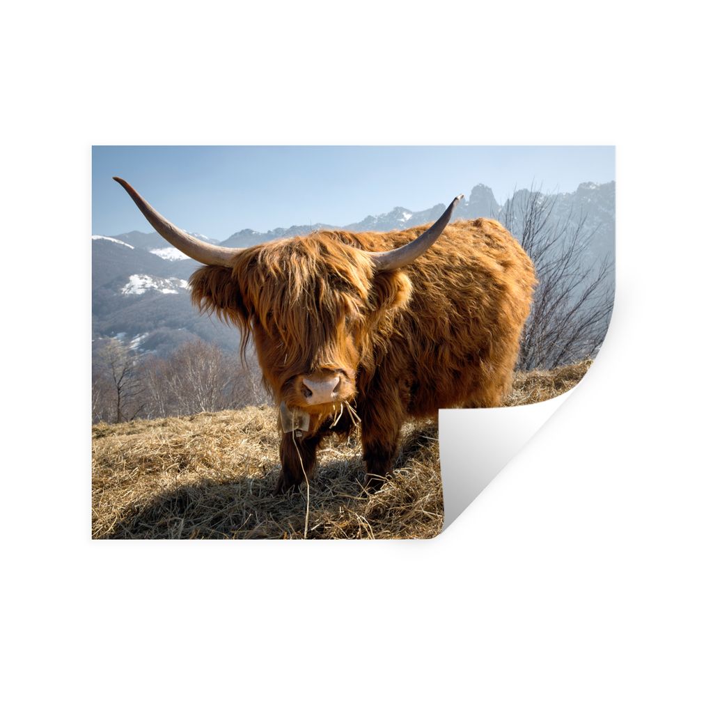 MuchoWow Wandtattoo Wandsticker Wandaufkleber Schottischer Highlander - Berg - Schnee 80x60 cm Selbstklebend und Repositionierbar - Faltenfrei