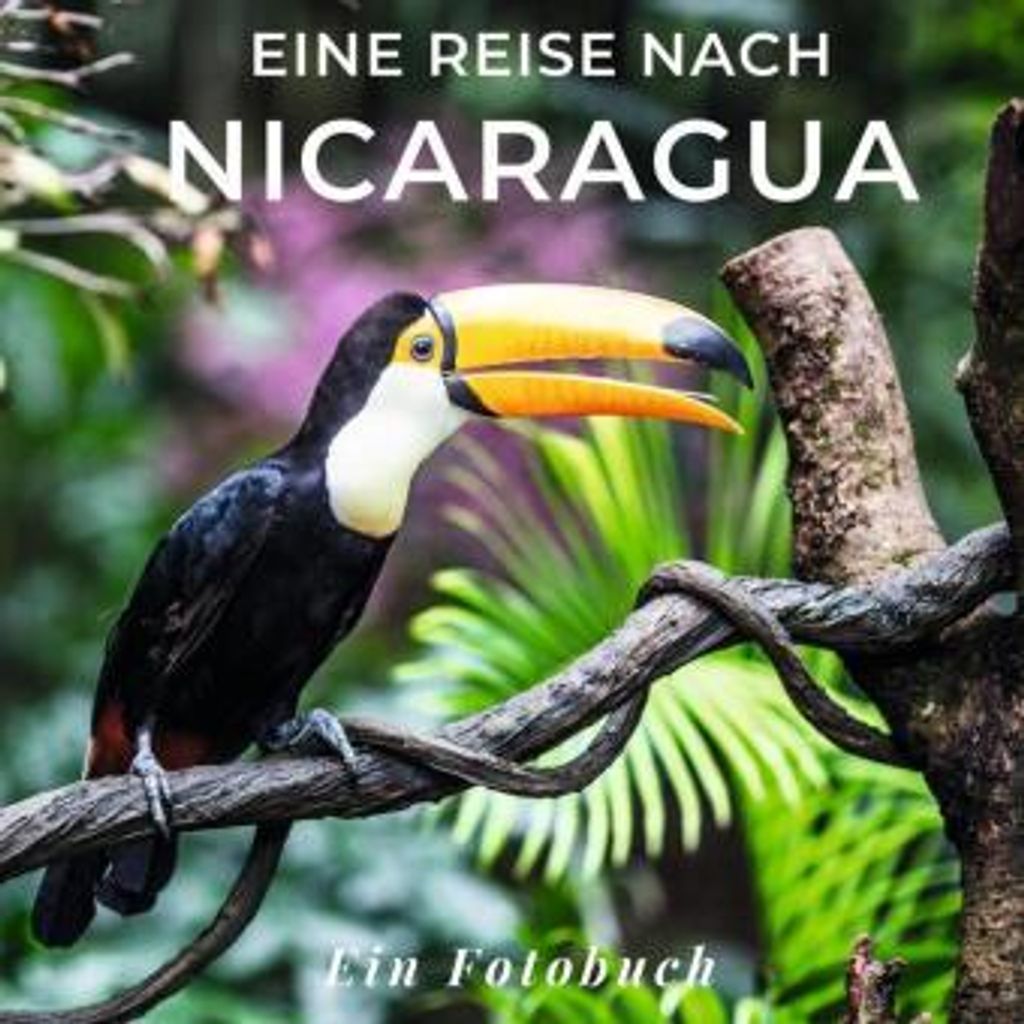 Eine Reise nach Nicaragua