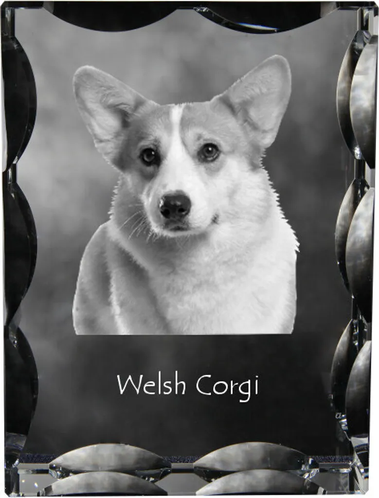 Cornice Foto Cristallo Art-Dog Corgi | Regalo Esclusivo per Cinofili