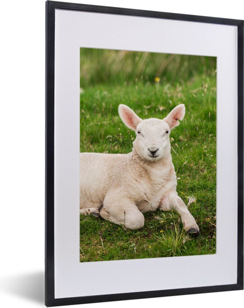 MuchoWow Gerahmtes Poster Schafe - Tiere - Lamm 30x40 cm - Poster mit Schwarzem Bilderrahmen Wandposter Rahmen Foto Bilder - Wandposter Schlafzimmer