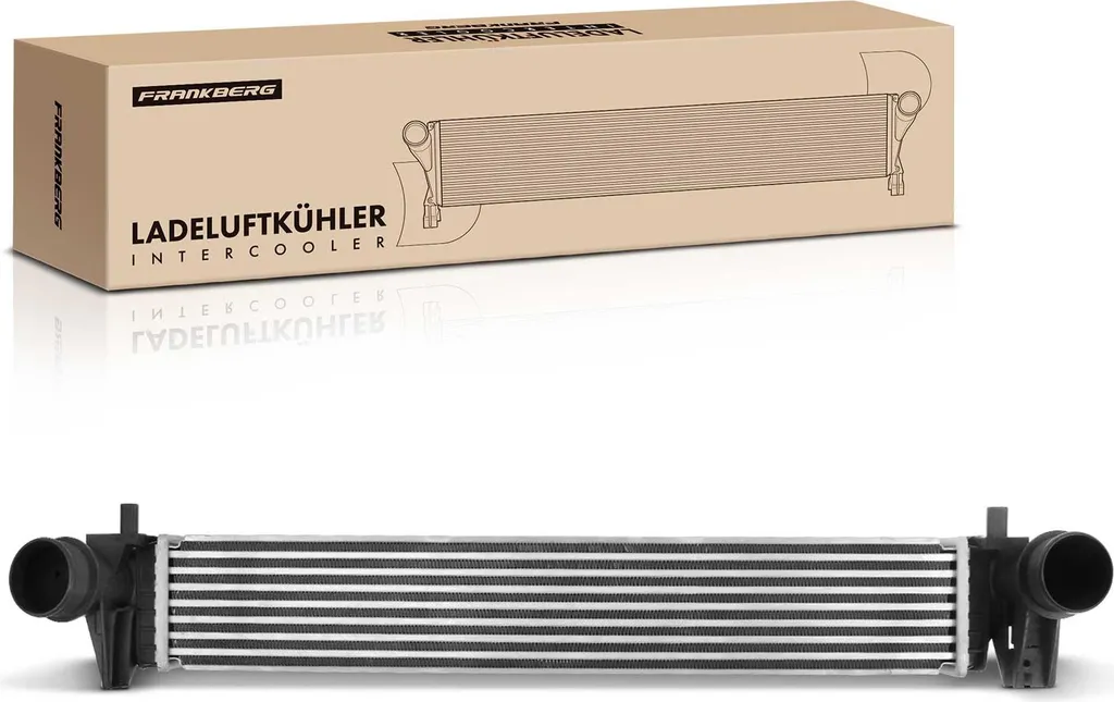 Frankberg Refroidisseur d'Air de Suralimentation pour VW Polo AW 2.0L