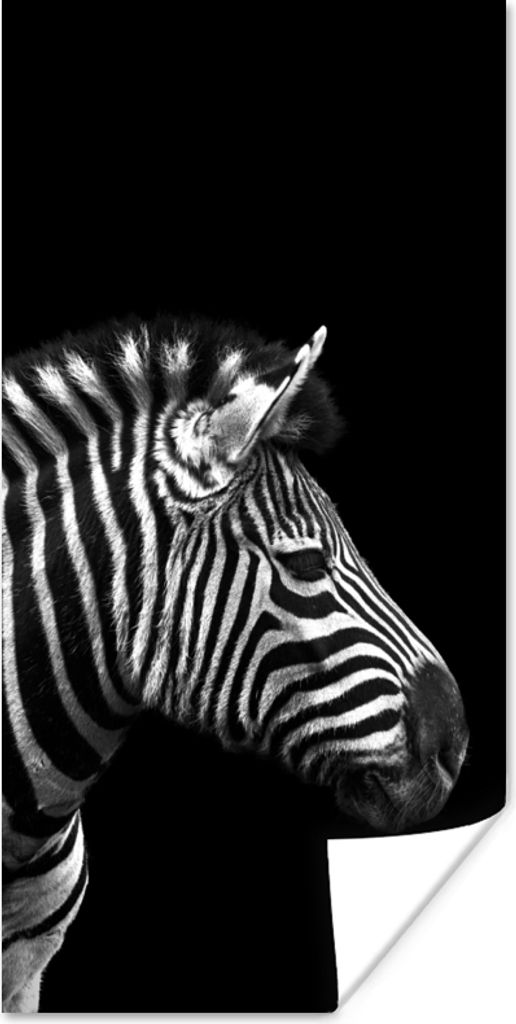 MuchoWow Poster Zebra - Schwarz - Weiß - Porträt - Tiere 20x40 cm - Plakat - Foto