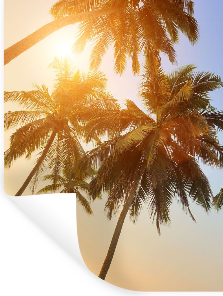 MuchoWow Wandtattoo Wandsticker Wandaufkleber Palme - Sonne - Sommer - Tropisch 30x40 cm Selbstklebend und Repositionierbar - Sticker - Dekorfolie