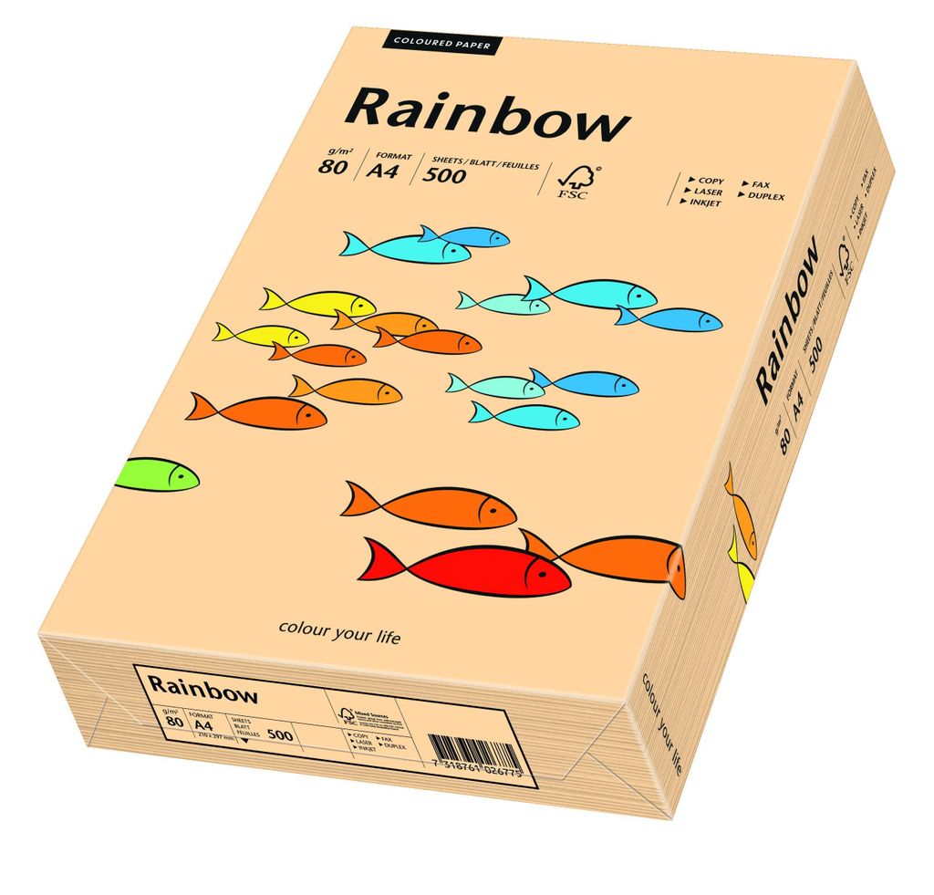 Papyrus 88042497 Rainbow Pastell - A4, 80 g/qm, lachs, 500 Immagine del prodotto 