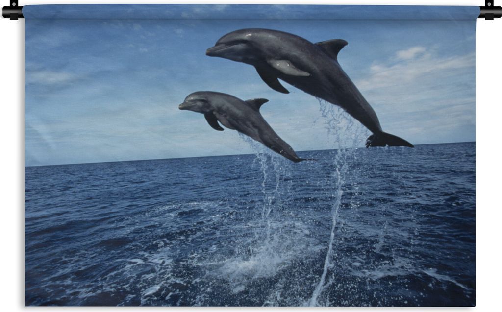 MuchoWow Wandteppich Wandbehang Delfin - Meer - Tier 120x80 cm Tapisserie Dekoration Wandtuch - Wanddekorationen - Wandtücher