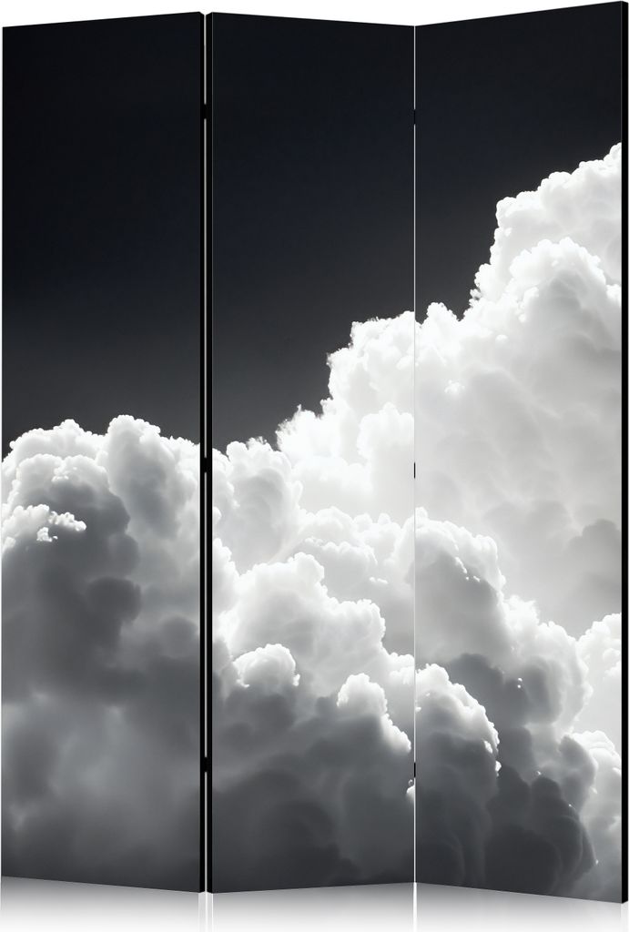 3-teiliger Einseitiger Vlies Paravent - Discover the Endless Play of Sunlight – Clouds and Shadows in the Sky 135x172 cm Landschaften b-H-10042-z-a