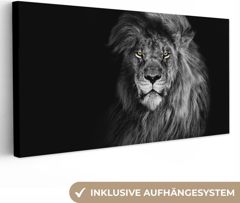 MuchoWow - Leinwandbilder - Löwe - Augen - Orange - Schwarz und weiß - Tiere - Porträt, Wandbild, Wanddeko Bilder Wohnzimmer, 80x40 cm