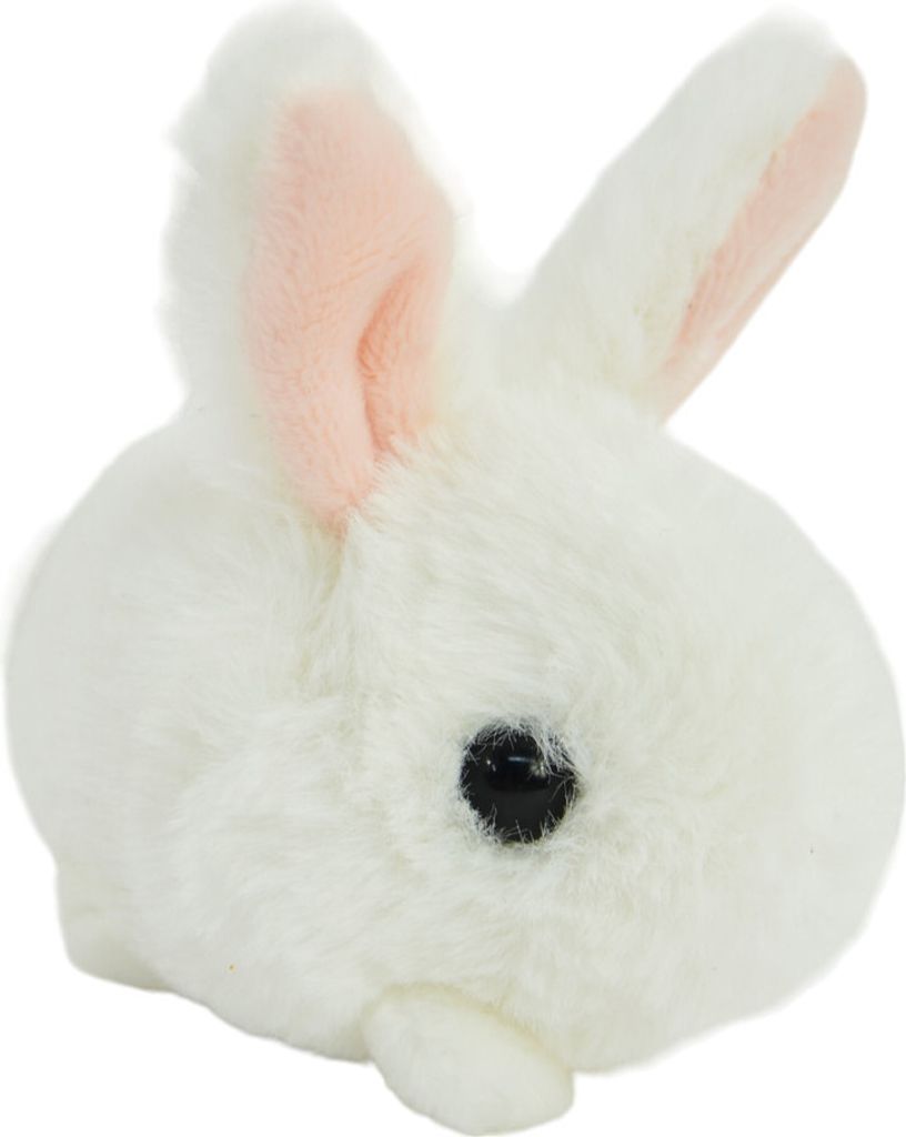 A close-up studio shot of a white plush bunny toy.