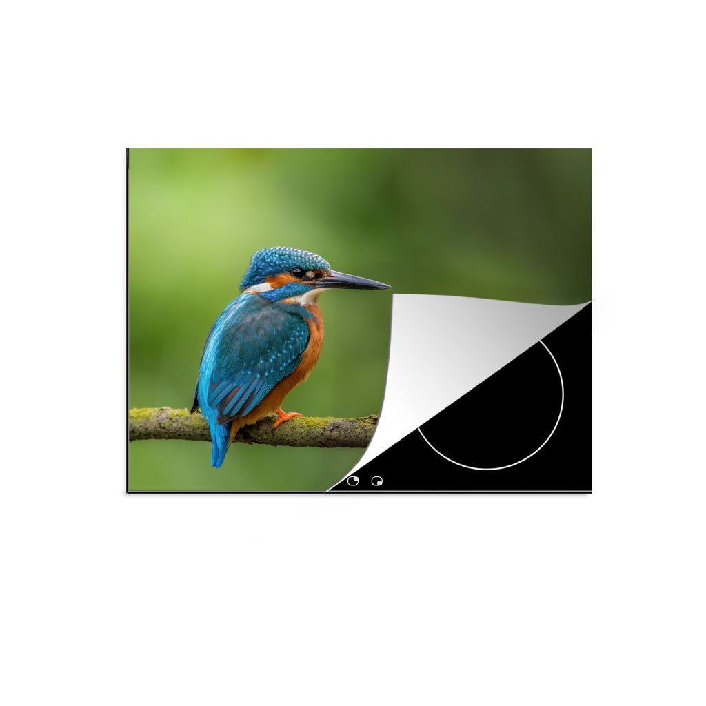 KitchenYeah Herdabdeckplatte Eisvogel - Zweig - Moos - Vogel - Grün , 71x52cm, Küche Deko, Glaskeramikkochfeld Herdabdeckung, Abdeckplatte fùr...