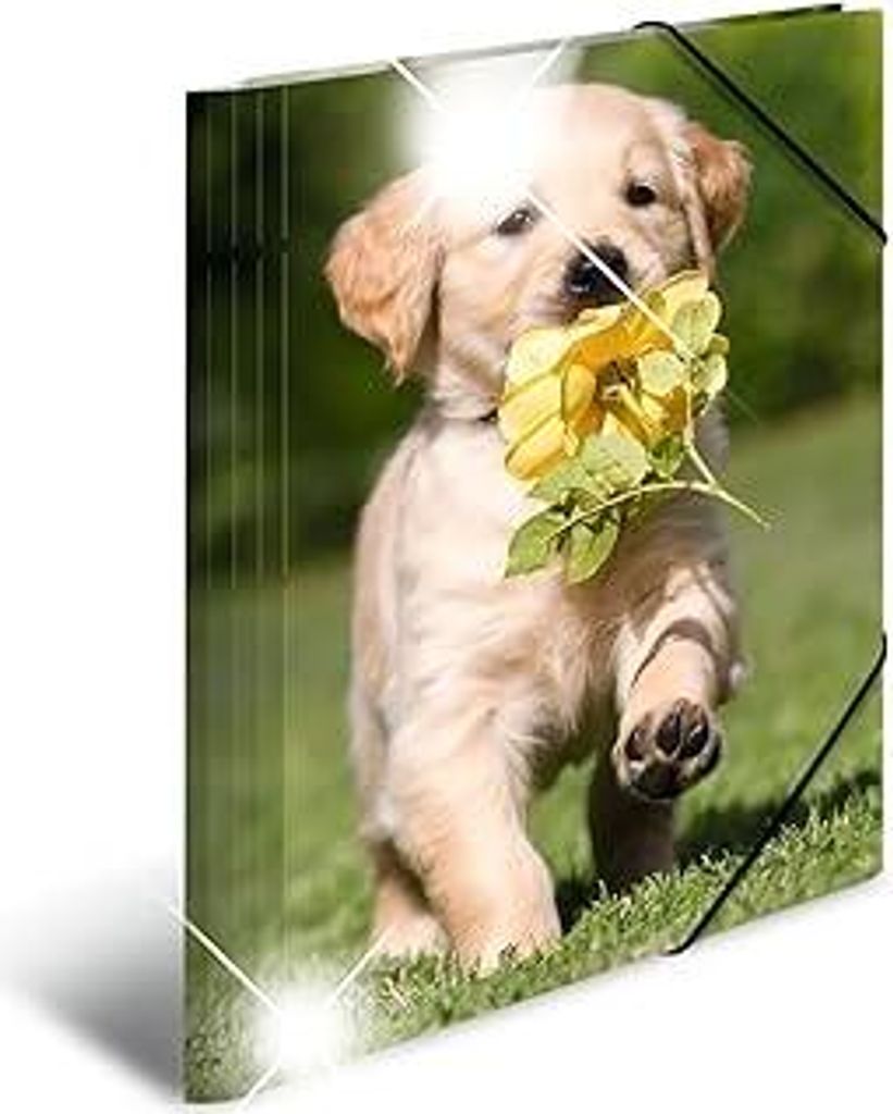 HERMA Sammelmappe A4 Hunde, Kinder Eckspanner-Mappe aus Kunststoff mit Tier Motiv, Hochglanz-Optik, Gummizug, Innenklappen und Innendruck für Jung...