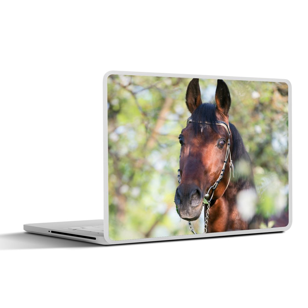 MuchoWow Laptop Aufkleber Sticker Cover Pferde - Blüte - Frühling - Tiere 36.5x27.5 cm - Laptop-Sticker