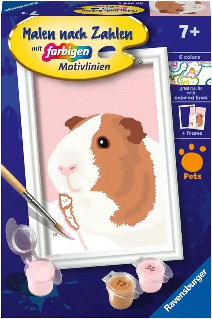 Ravensburger Malen nach Zahlen 23758 - Niedliches Meerschweinchen - Kinder ab 7 Jahren