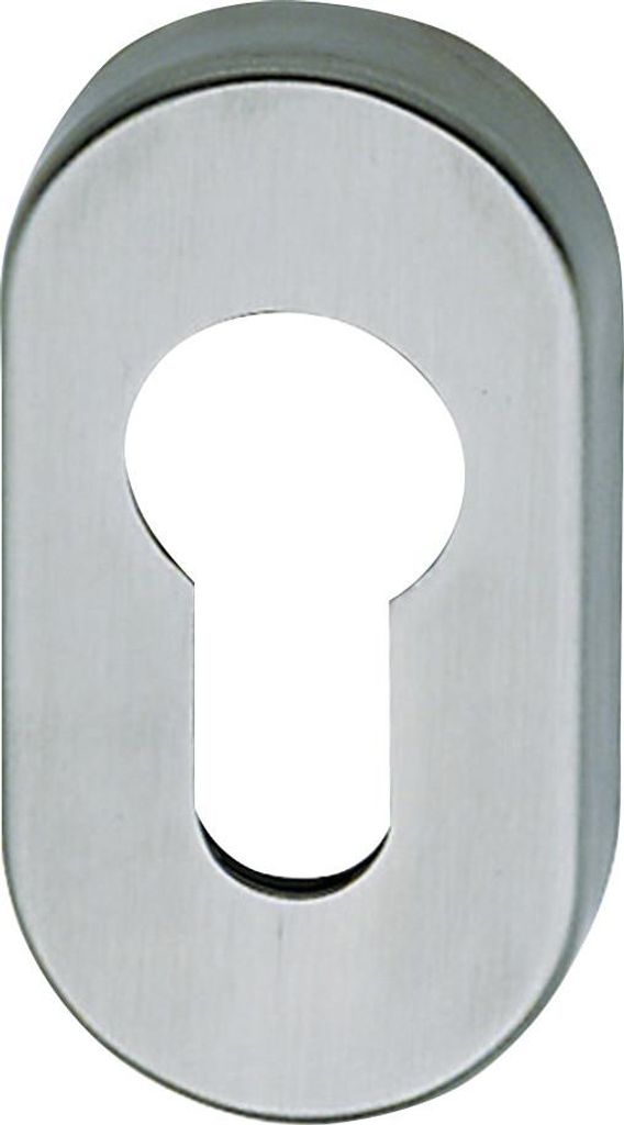A close-up, studio shot of a silver-colored keyhole escutcheon plate.