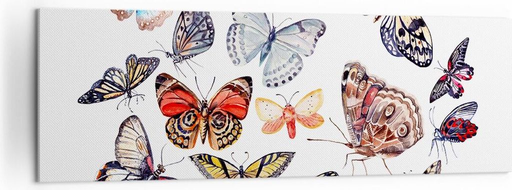 Bild auf Leinwand - Leinwandbild - Schmetterlinge Illustration Bunt Flügel - 160x50cm - Wand Bild - Wanddeko - Leinwanddruck - Bilder - Kunstdruck...
