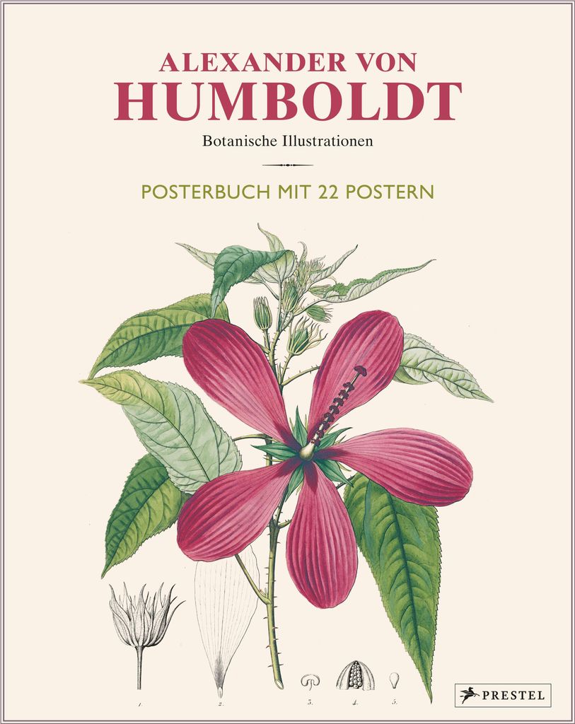 Alexander von Humboldt: Botanische Illustrationen. Posterbuch mit 22 Postern