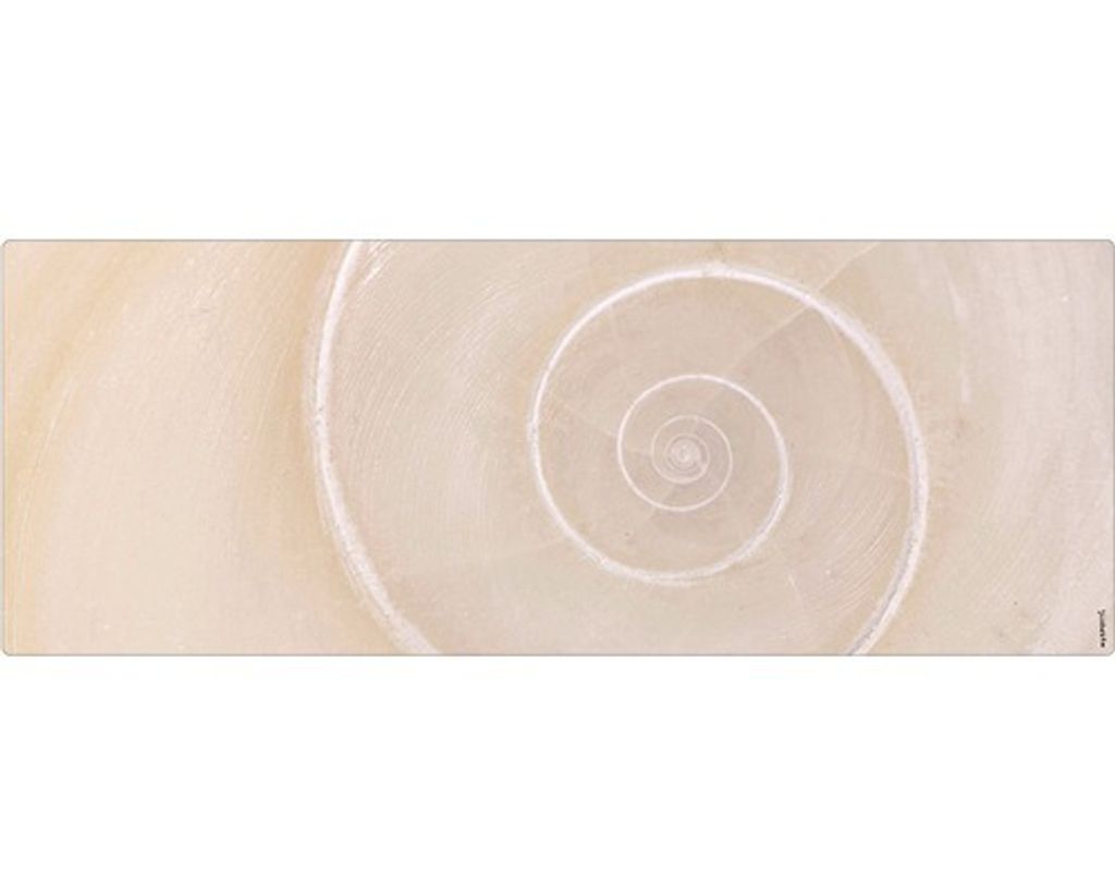Badrückwand mySPOTTI aqua Schnecke 120x45 cm