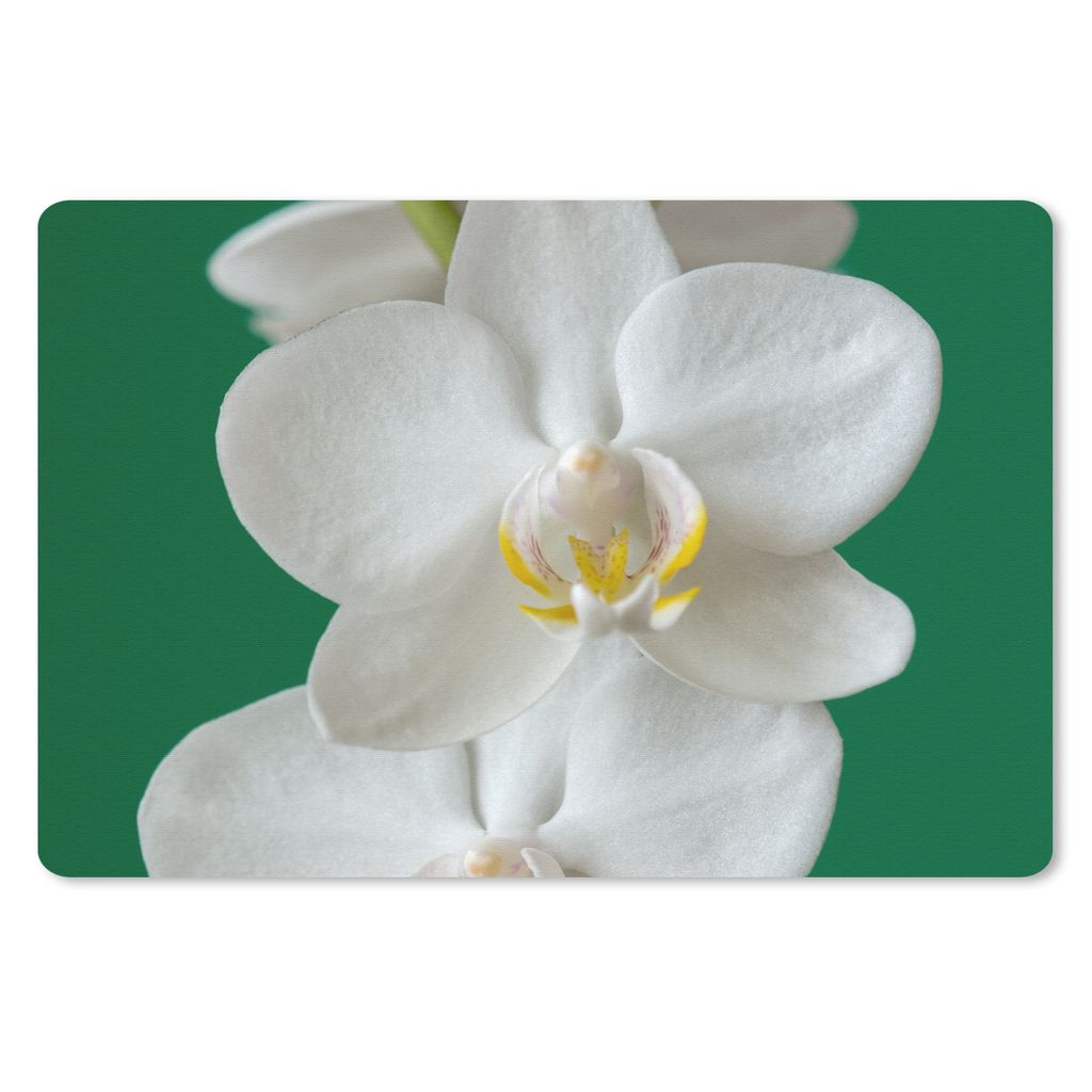 MuchoWow Mauspad Mousepad Orchidee mit grünem Hintergrund 27x18 cm - Mousepads - Maus Mat - Pad - Mausunterlage - Büroartikel - Desk Matten