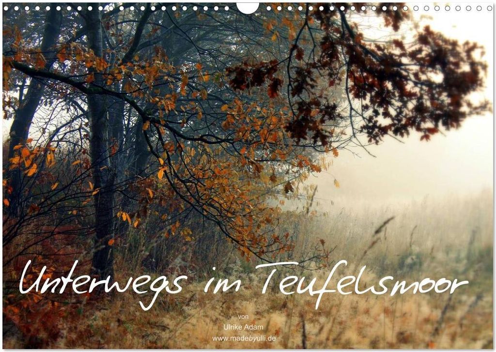 Unterwegs im Teufelsmoor (Wandkalender 2026 DIN A3 quer), CALVENDO Monatskalender