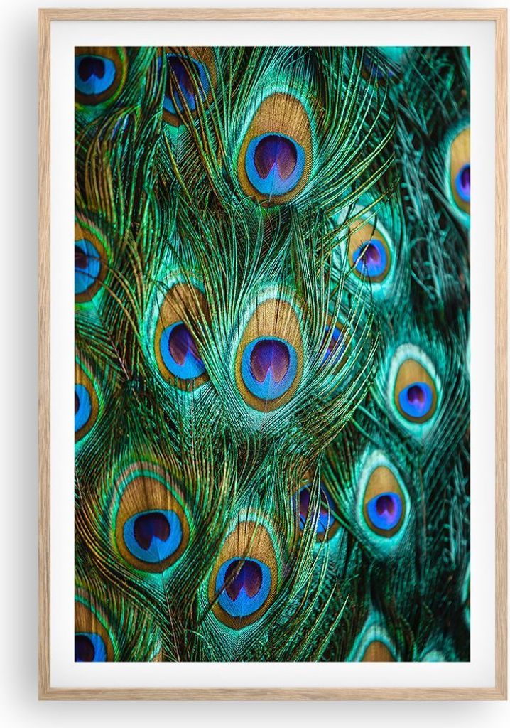 Gerahmtes Poster - Rahmen in heller Eiche - Pfauen Feder Makro - 61x91,5 cm - Wand Bild - Wanddeko - Wandbilder - Wandposter - Bilderrahmen - Bilde...