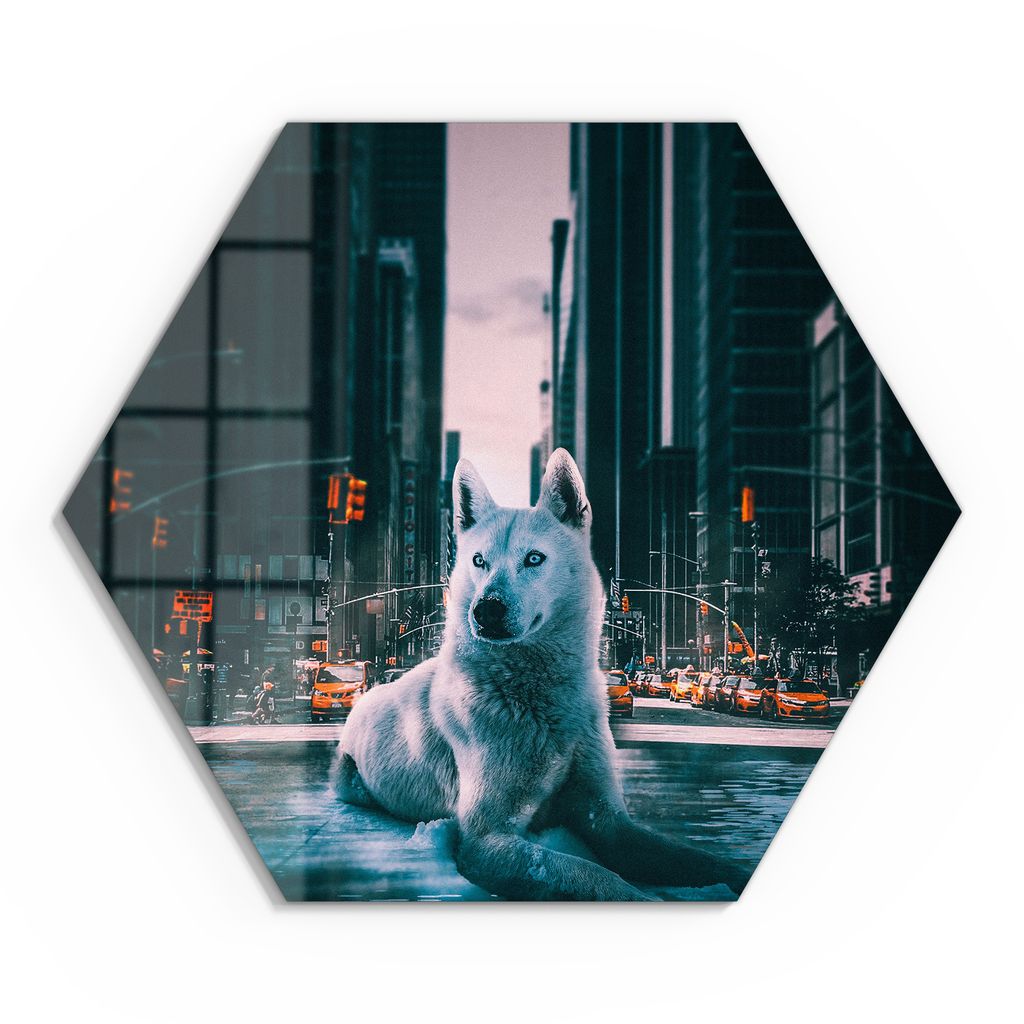 DEQOART Glasbild Echtglas 55x48 cm 'Urbane Wolfsruh' Wandbild Bild modern Deko