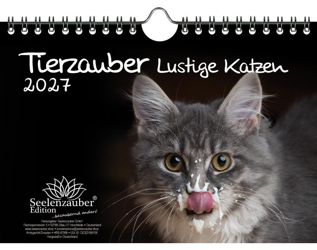 Tierzauber Lustige Katzen DIN A5 Kalender für 2027 Lustige Katzen - Seelenzauber