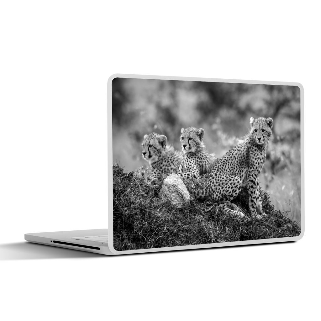 MuchoWow Laptop Aufkleber Sticker Cover Nahaufnahme Leoparden gegen verblassten Hintergrund - schwarz und weiß 40x30 cm - Laptop Dekoration - Se...