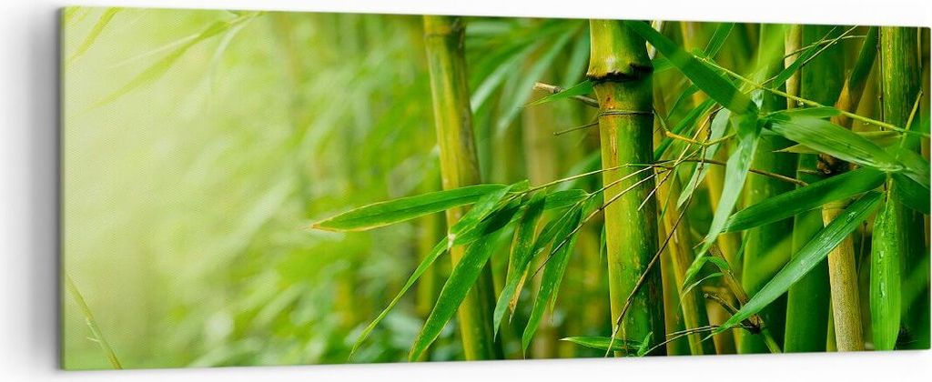 Bild auf Leinwand - Leinwandbild - Bambus Pflanze - 140x50cm - Wand Bild - Wanddeko - Wandbilder - Leinwanddruck - Bilder - Kunstdruck - Wanddekora...