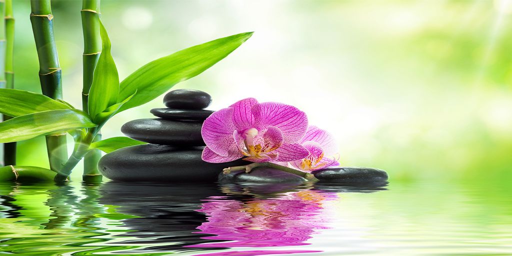 Tulup Küchenrückwand Spritzschutz aus Glas -100x50 -Spritzschutz auf gehärtetes GlasDeko Blumen & Pflanzen Orchidee