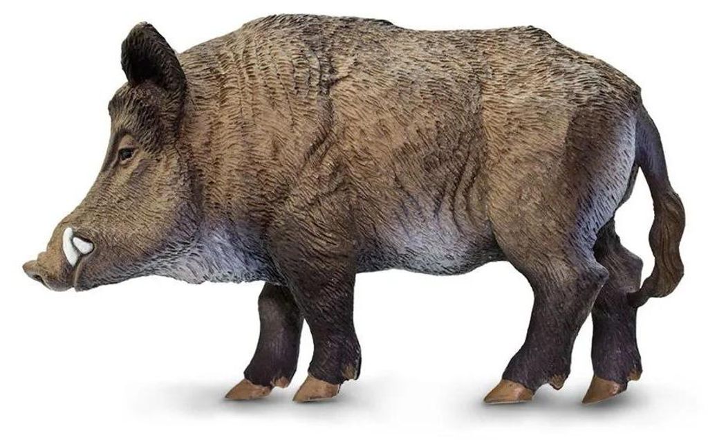 Safari Ltd Wildschweinefigur Braun From 3 Years Kinder Produktbild 