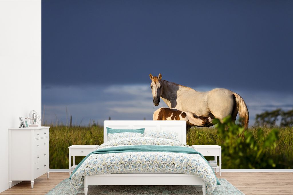MuchoWow Fototapete für Wohnzimmer oder Schlafzimmer Wandtapete Vinyl Motivtapete Pferde - Gras - Fohlen - 420x280 cm - Zimmer für Kinder