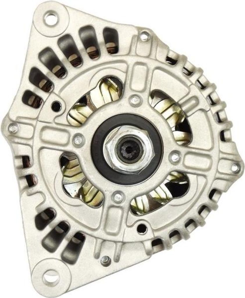 Lichtmaschine Erkunt Hattat Manitou