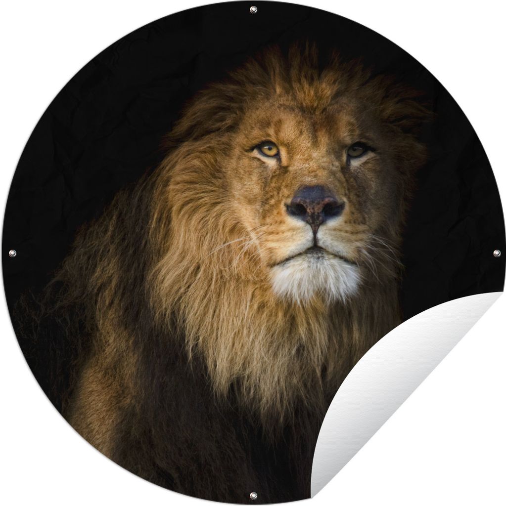 MuchoWow Gartenposter Outdoor-Poster Rund Löwe - Licht - Schwarz - Porträt Ø 90 cm Gartendeko Rundes Poster draußen