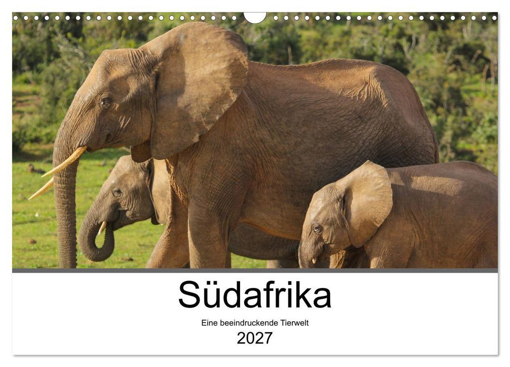Südafrika - Eine beeindruckende Tierwelt (Wandkalender 2027 DIN A3 quer), CALVENDO Monatskalender