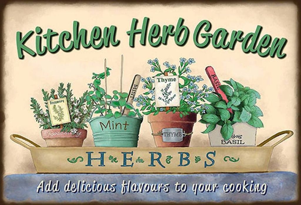 vianmo Holzschild 20x30 cm Kirchen Herb Garden Mint Thyme