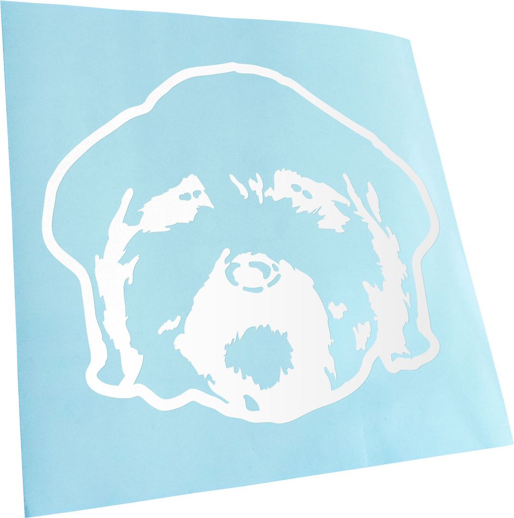 Kiwistar - Autoaufkleber - Maltipoo Hund - Mattschwarz - 12x10cm - Aufkleber für Auto, Laptop, Fahrrad, LKW, Motorrad mehrfarbig JDM Decal Racing