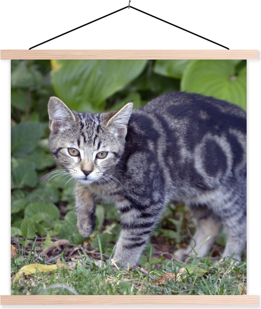 MuchoWow Textilposter Katze - Haustier - Garten - Mädchen - Kinder - Kinder - Kind 120x120 cm mit holzfarbenen Rahmen - Textil-Poster