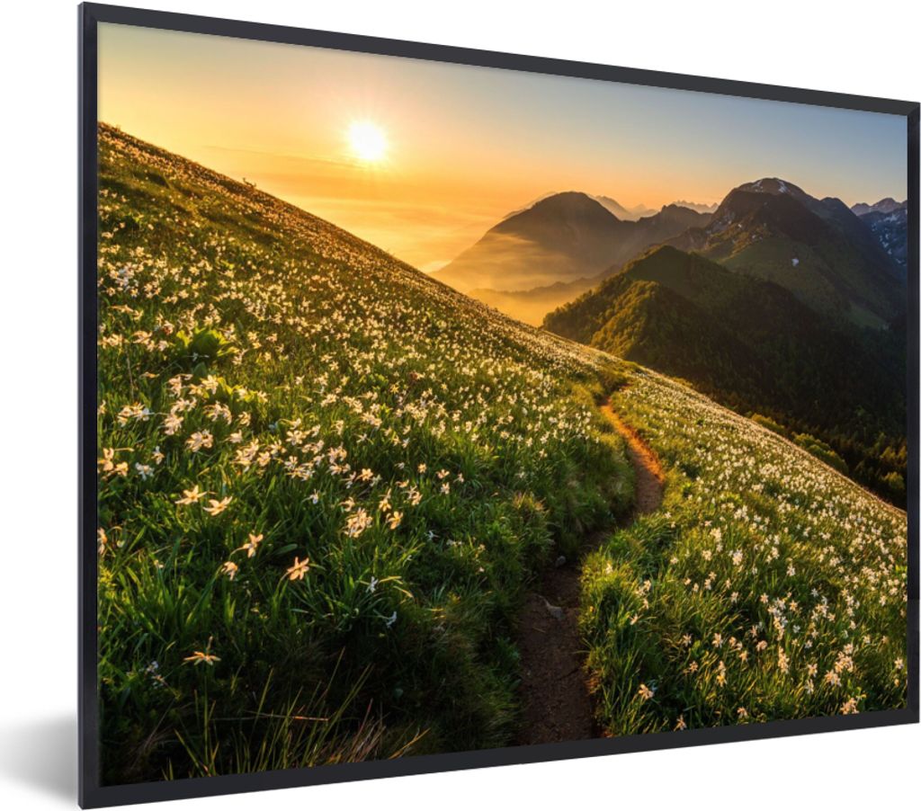 MuchoWow Gerahmtes Poster Blumen - Sonne - Berge 40x30 cm - Poster mit Schwarzem Bilderrahmen Wandposter Rahmen Foto Bilder - Kunstposter - Wandd...