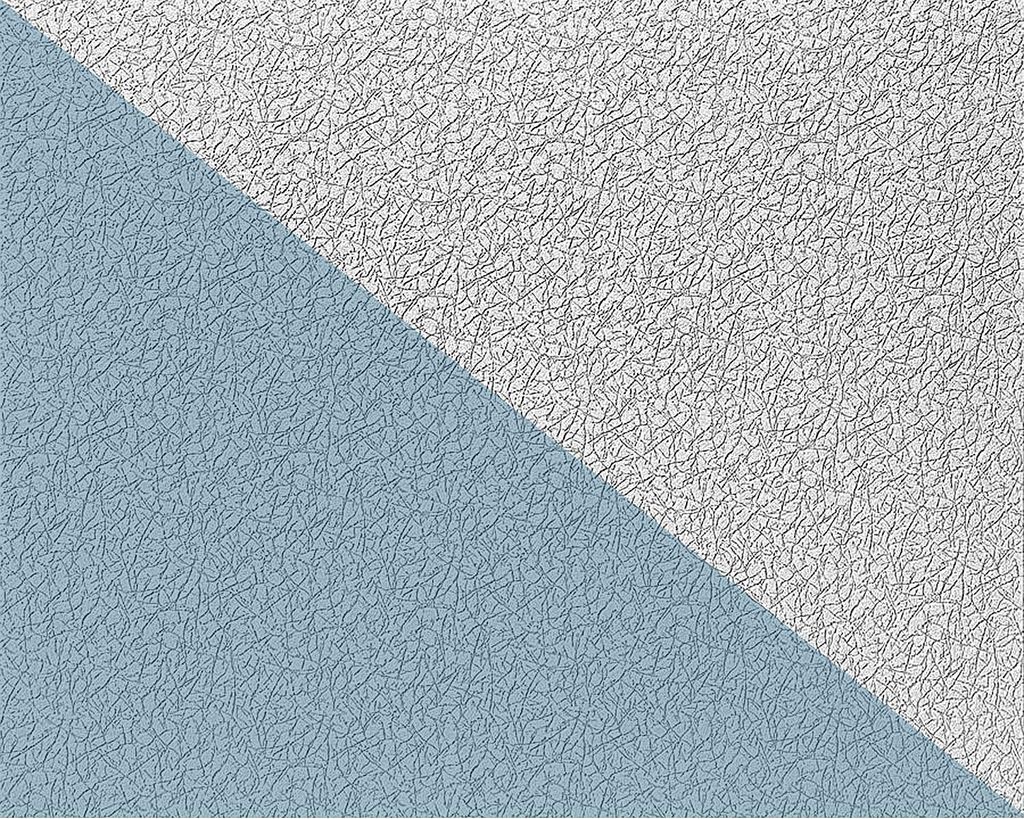 EDEM 80306BR70 XXL stabile Vliestapete putz-optik zum Überstreichen 26,50 qm